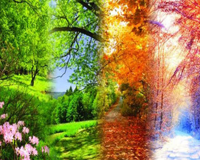 Шедевры великих композиторов. Вивальди. Времена года. Шуман. Концерт